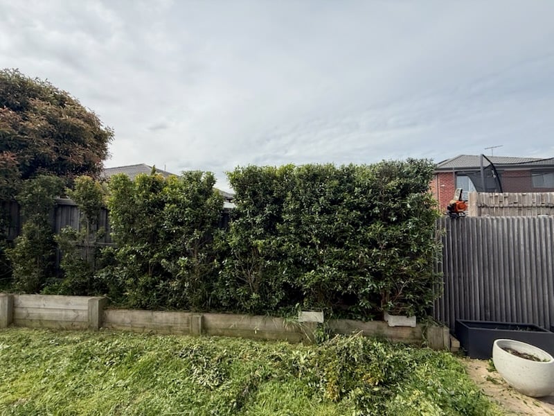 -1758543343876342268 - THANDIWE DEBRAH HOVE