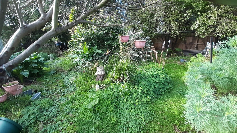 03 - Dodwell Keyt
