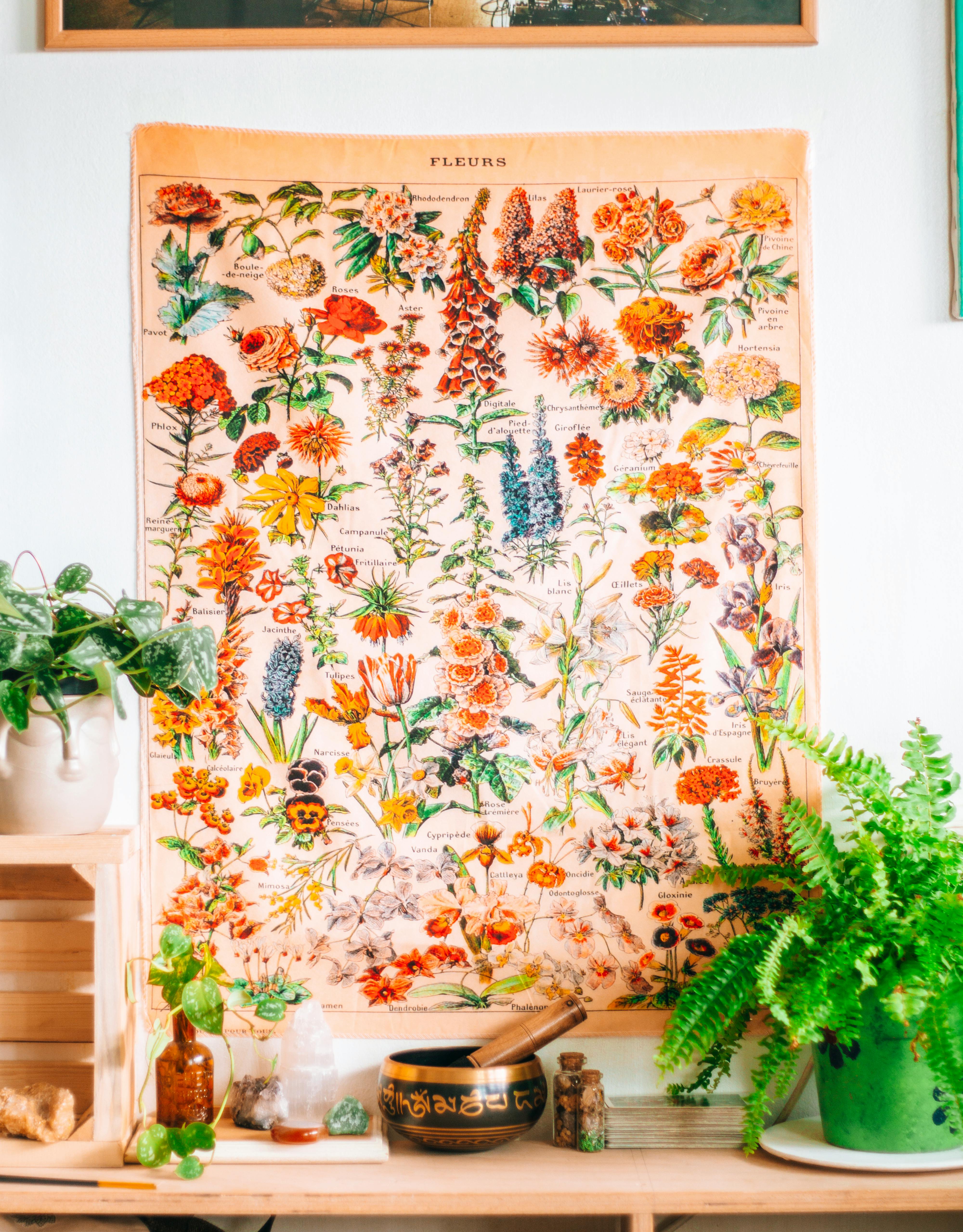 Botanicals and Nature-Inspired Prints