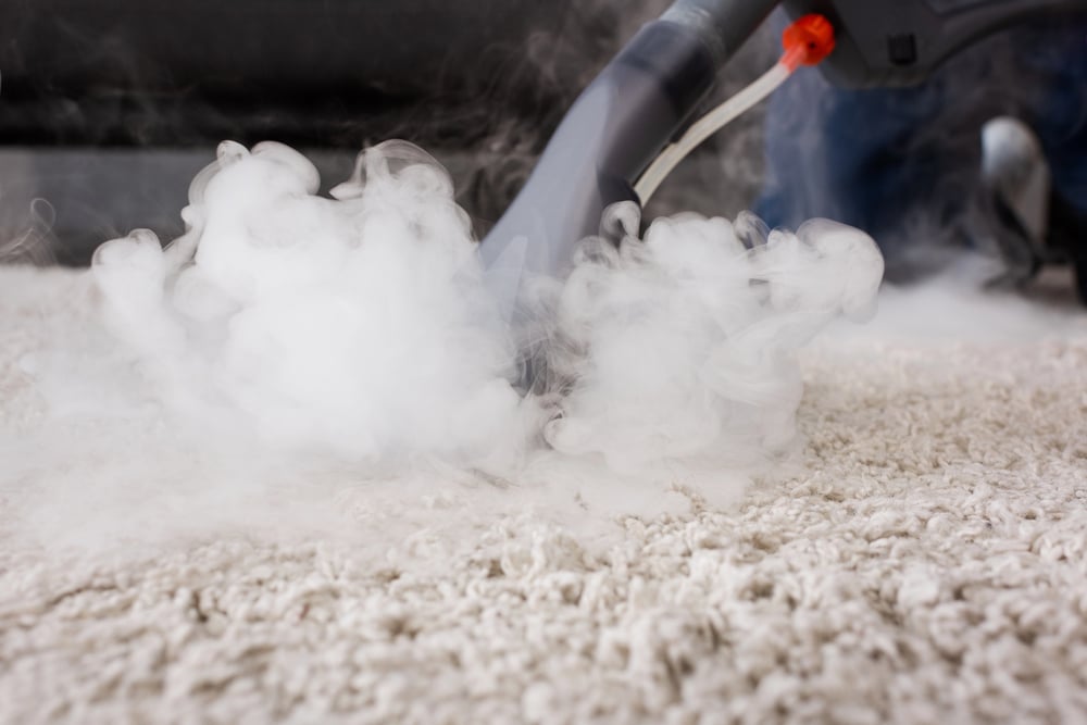 Carpet Steam Cleaning Cost Guide Australia 2026