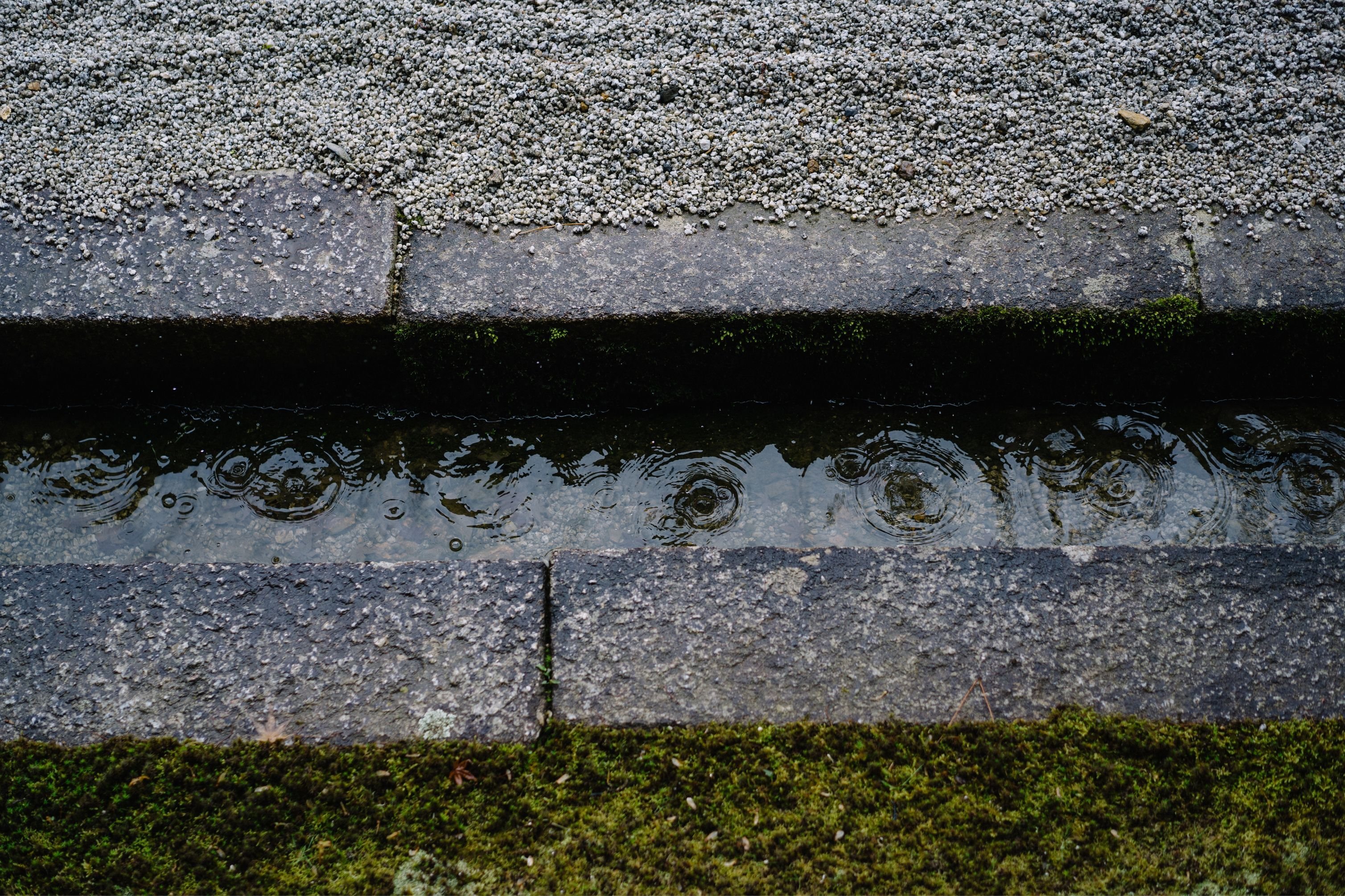 Common Issues When Drainage Is Overlooked