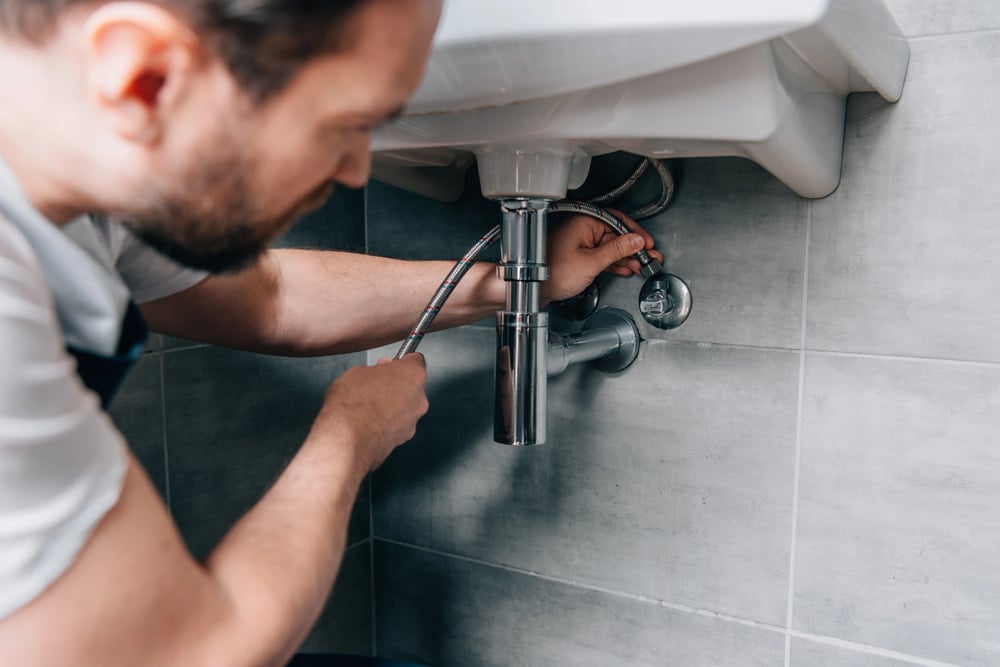 Plumbing check-up. Plumbers on ServiceSeeking