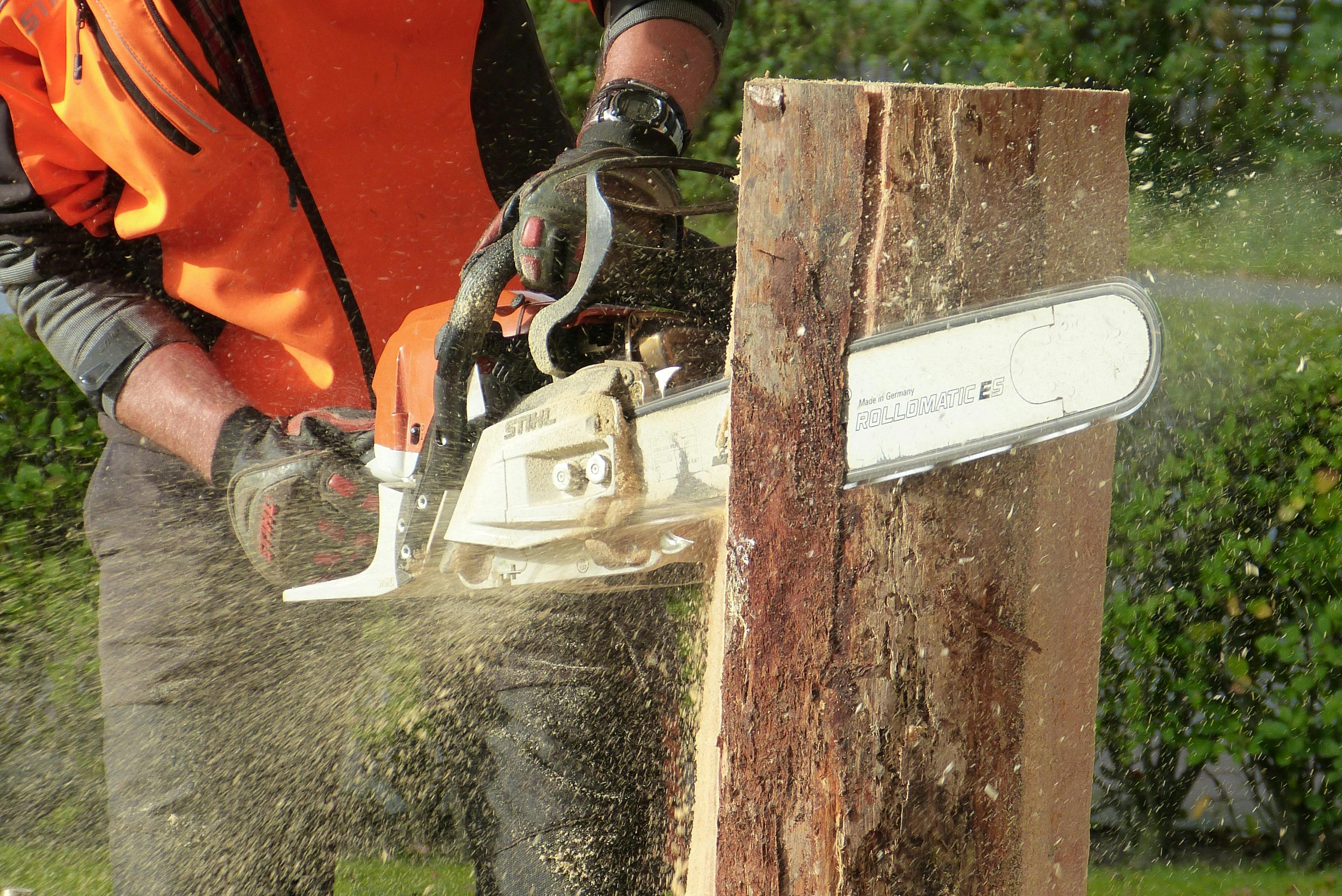 How Arborist Jobs Are Priced in 2026