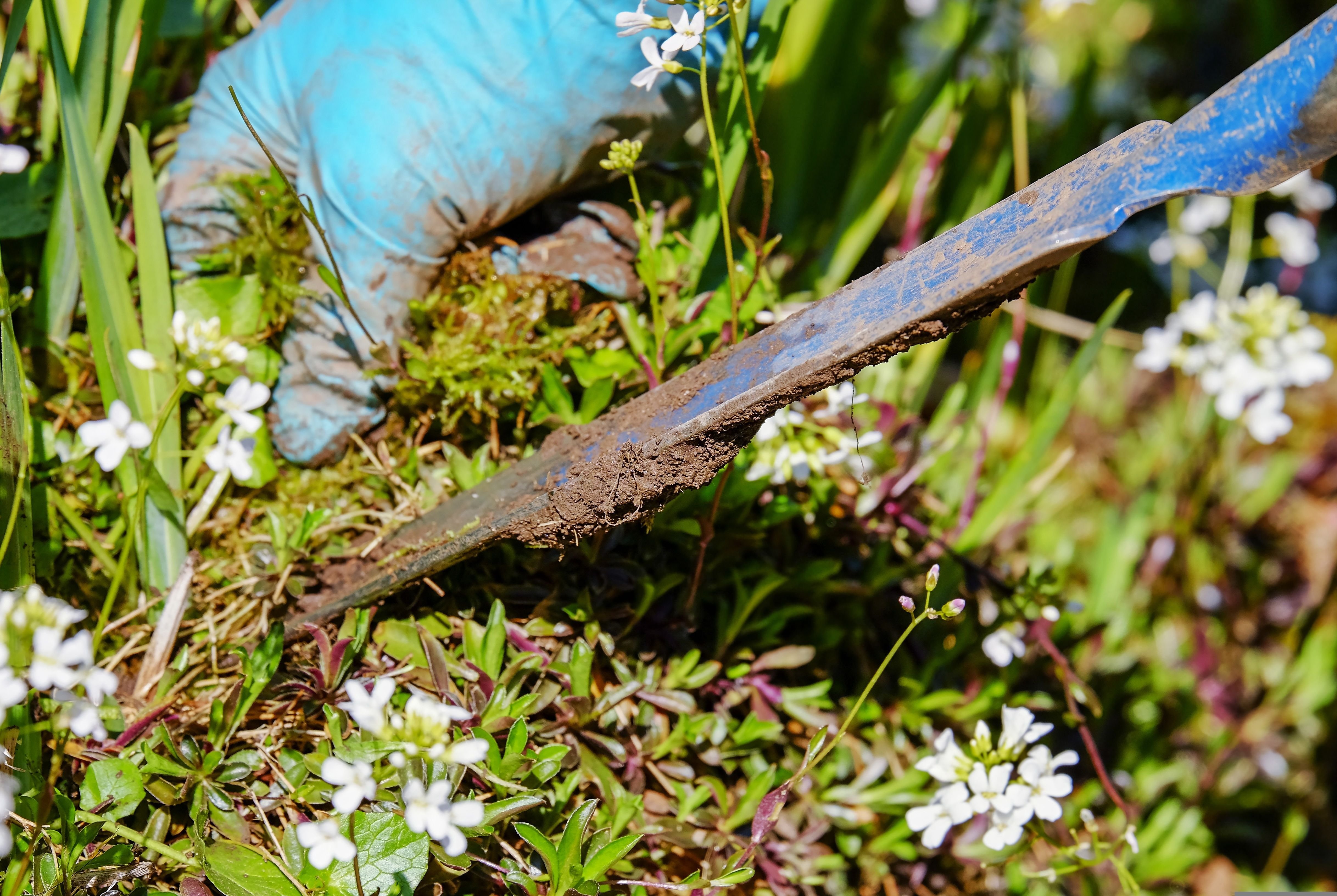 How Much Does Garden Weeding Cost in 2026