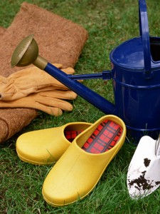 gardening tools