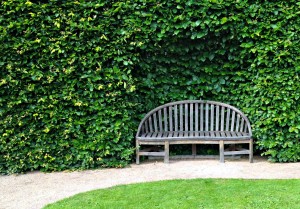 HEDGE