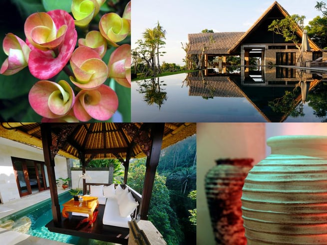 bali collage