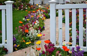fence design