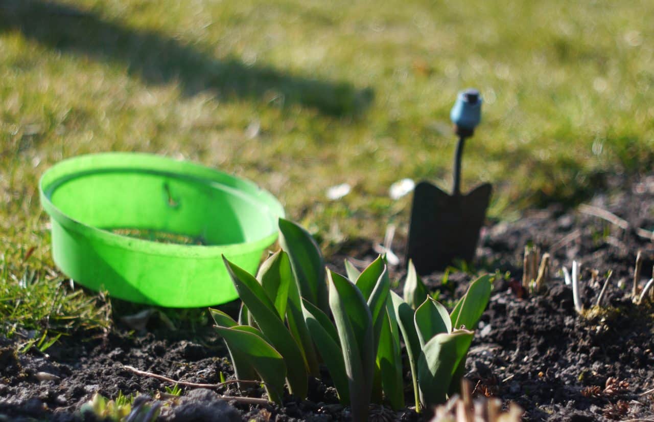 gardening-1331197-1280x960-e1479791536459-1