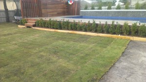 horti passion 3