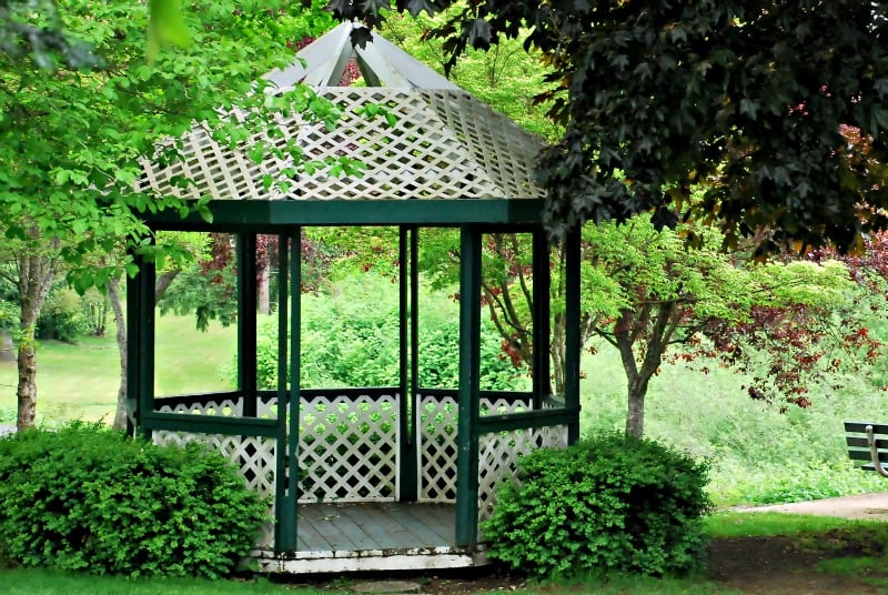 pergola2
