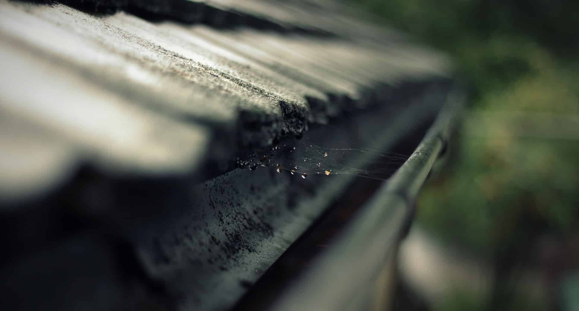 rain-gutter-473845_1920-1