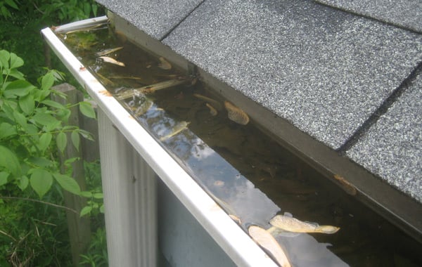 stuck water on the roof gutter