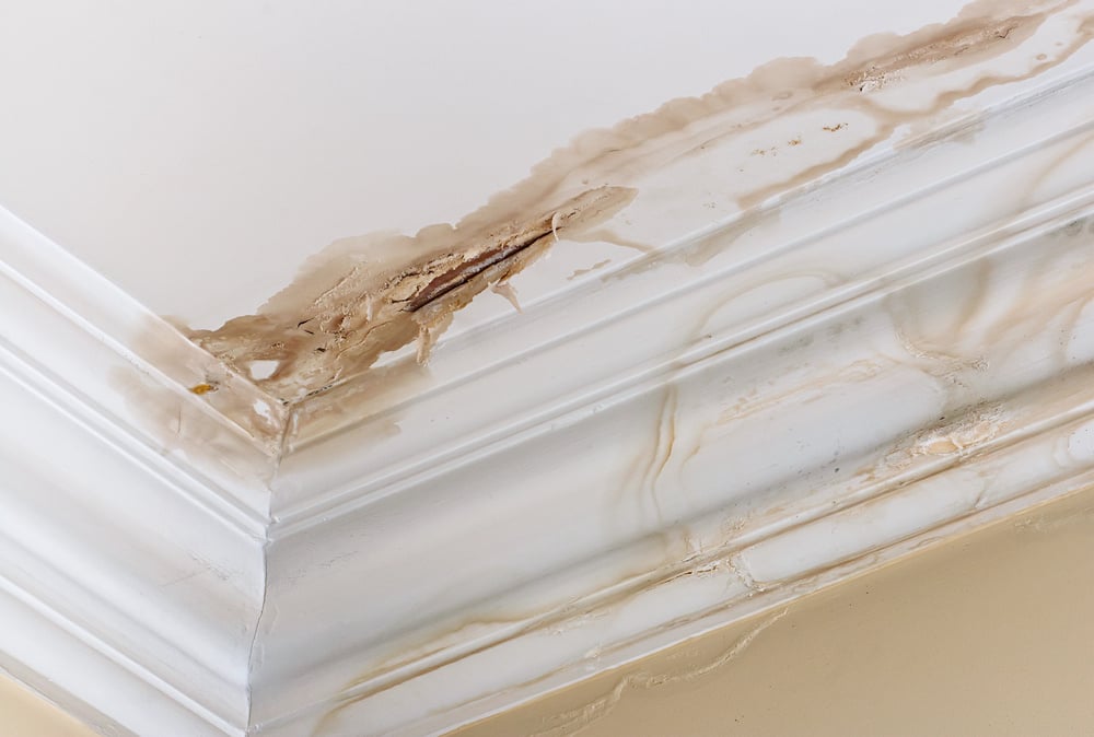 Leaky Roofs