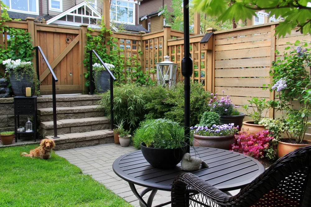 Popular budget-friendly fence ideas