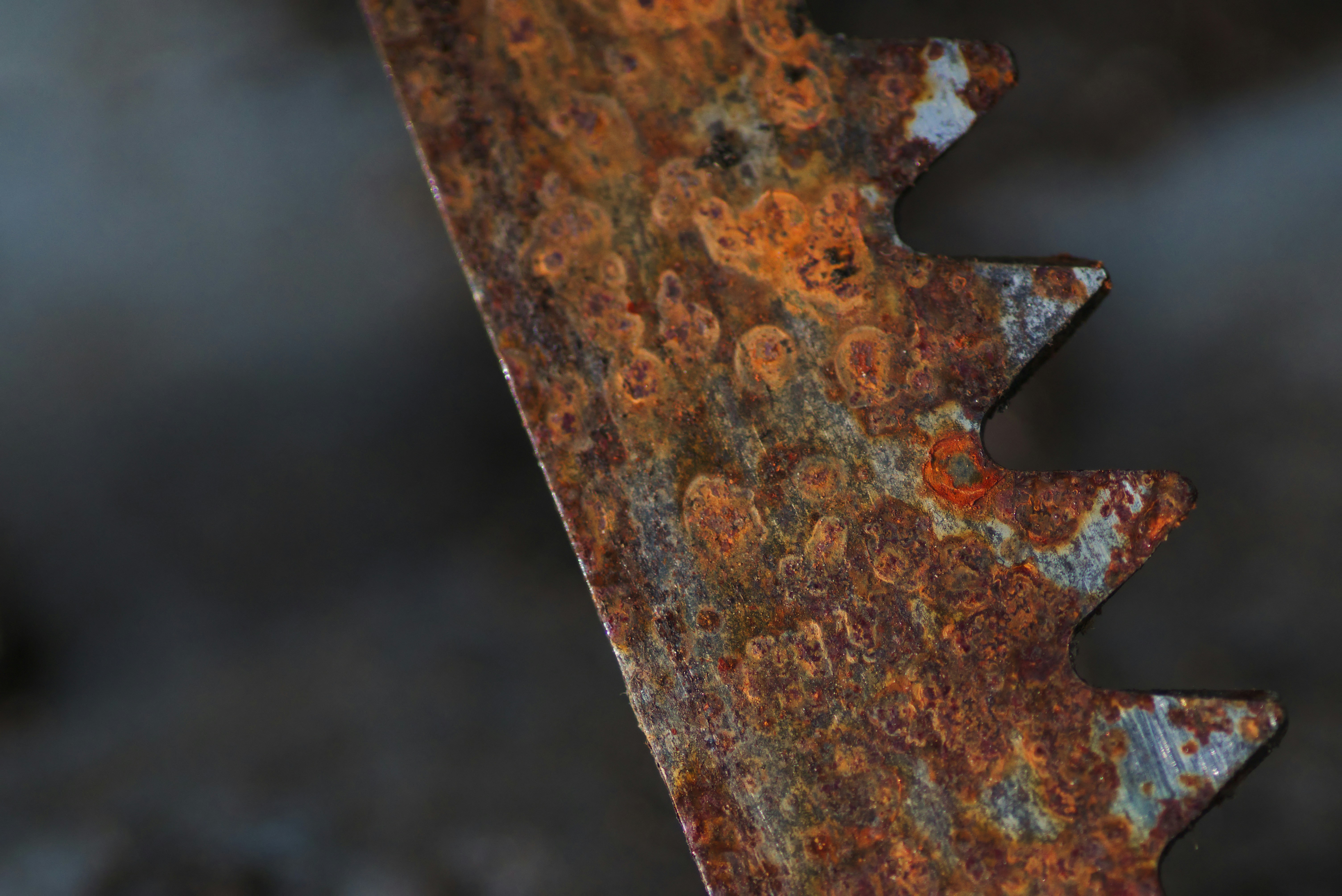 Prevent Rust Before It Starts