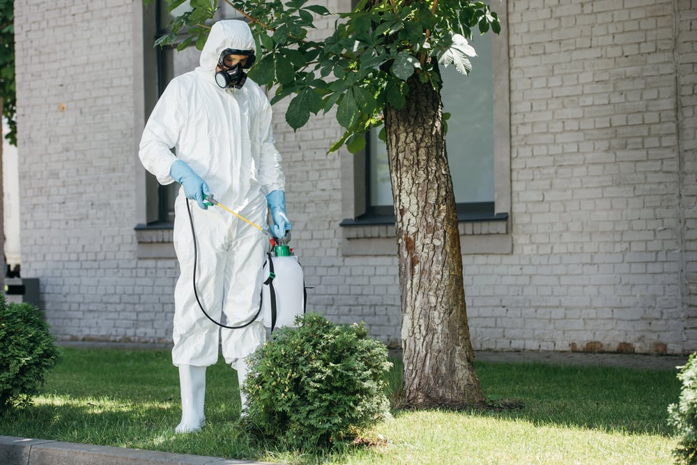 Pest control services on ServiceSeeking