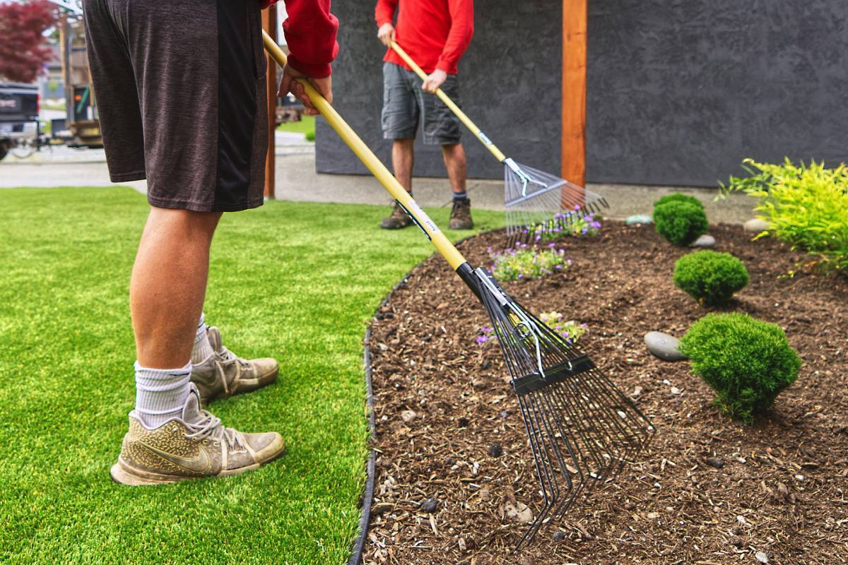 Sydney Lawn & Garden Blitz 2