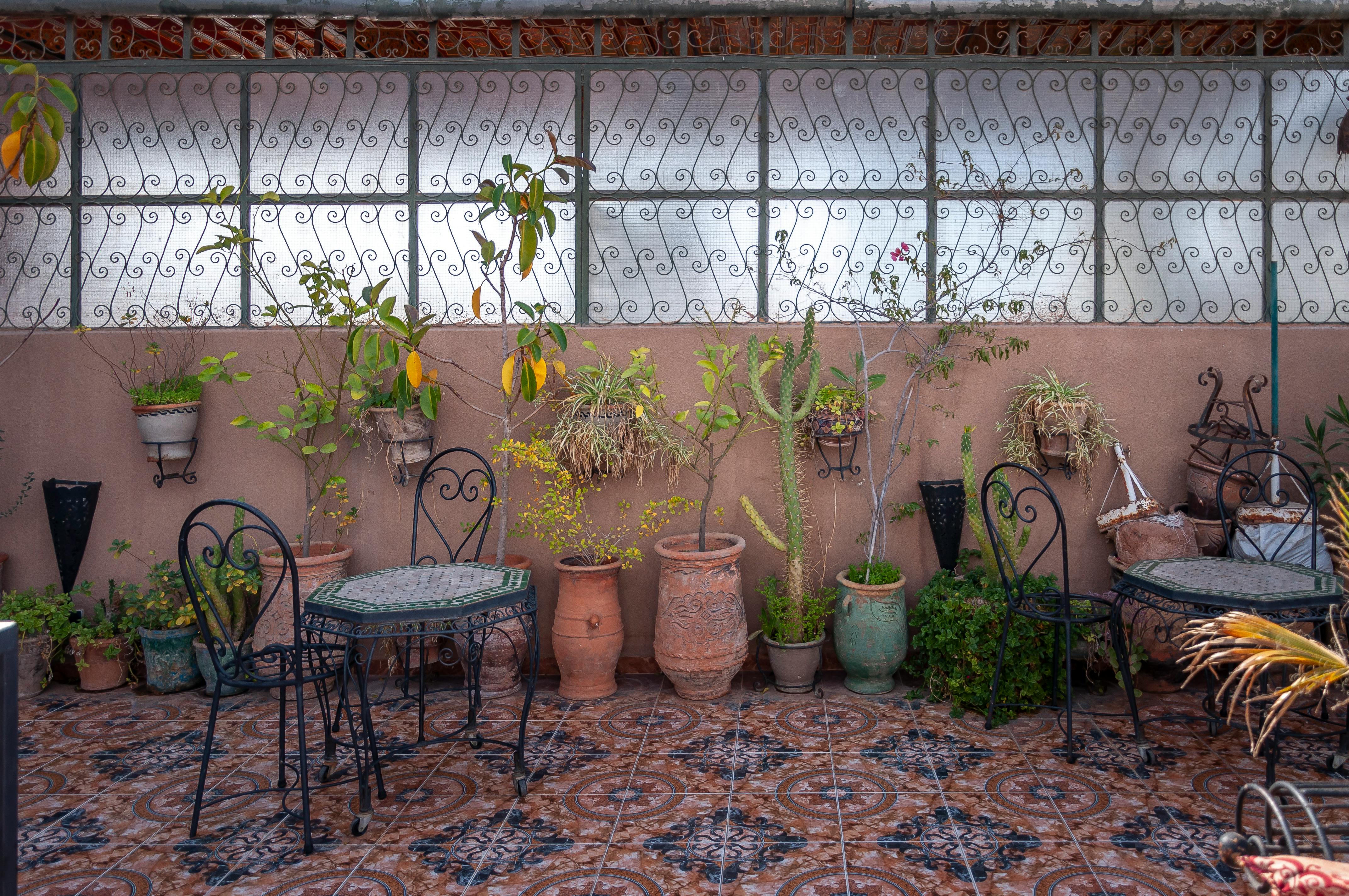 The Return of Mediterranean Vibes