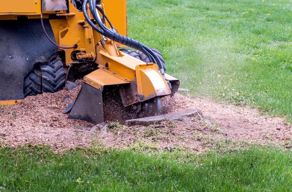 Tree Stump Removal