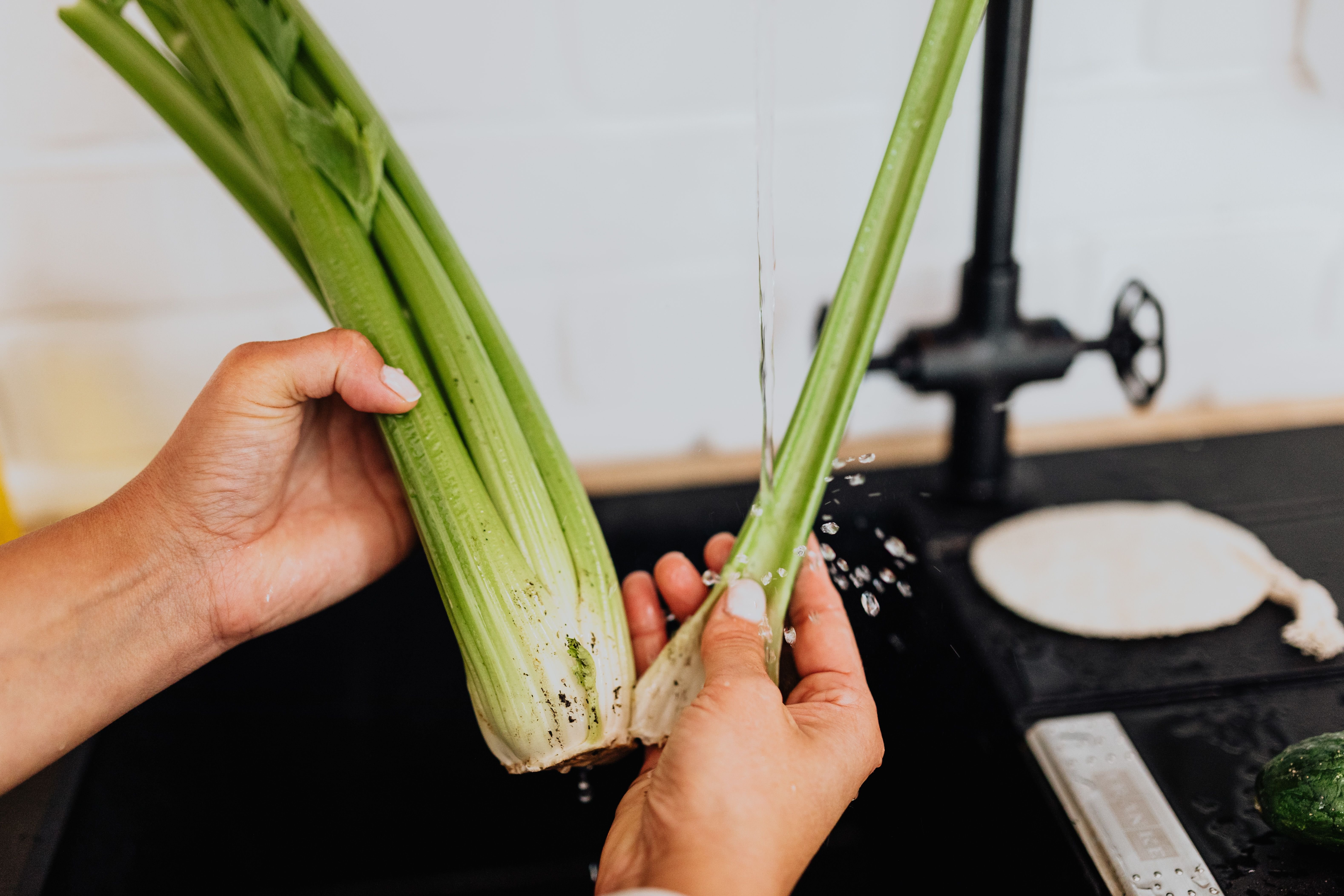 What to harvest in spring