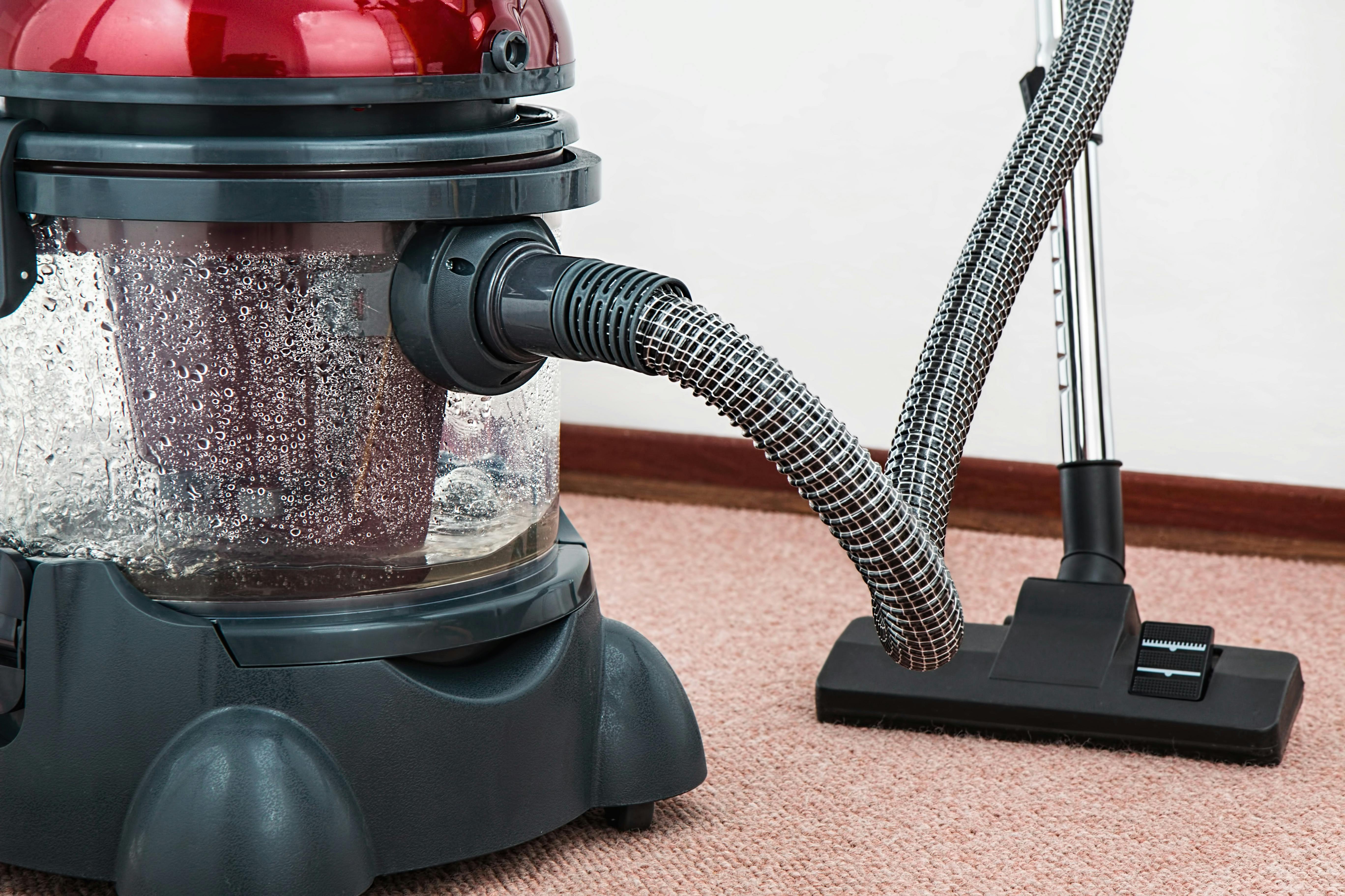 Why Professional Carpet Cleaning Matters