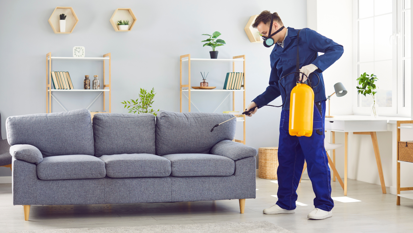 Winter Pests You Might Be Missing-png