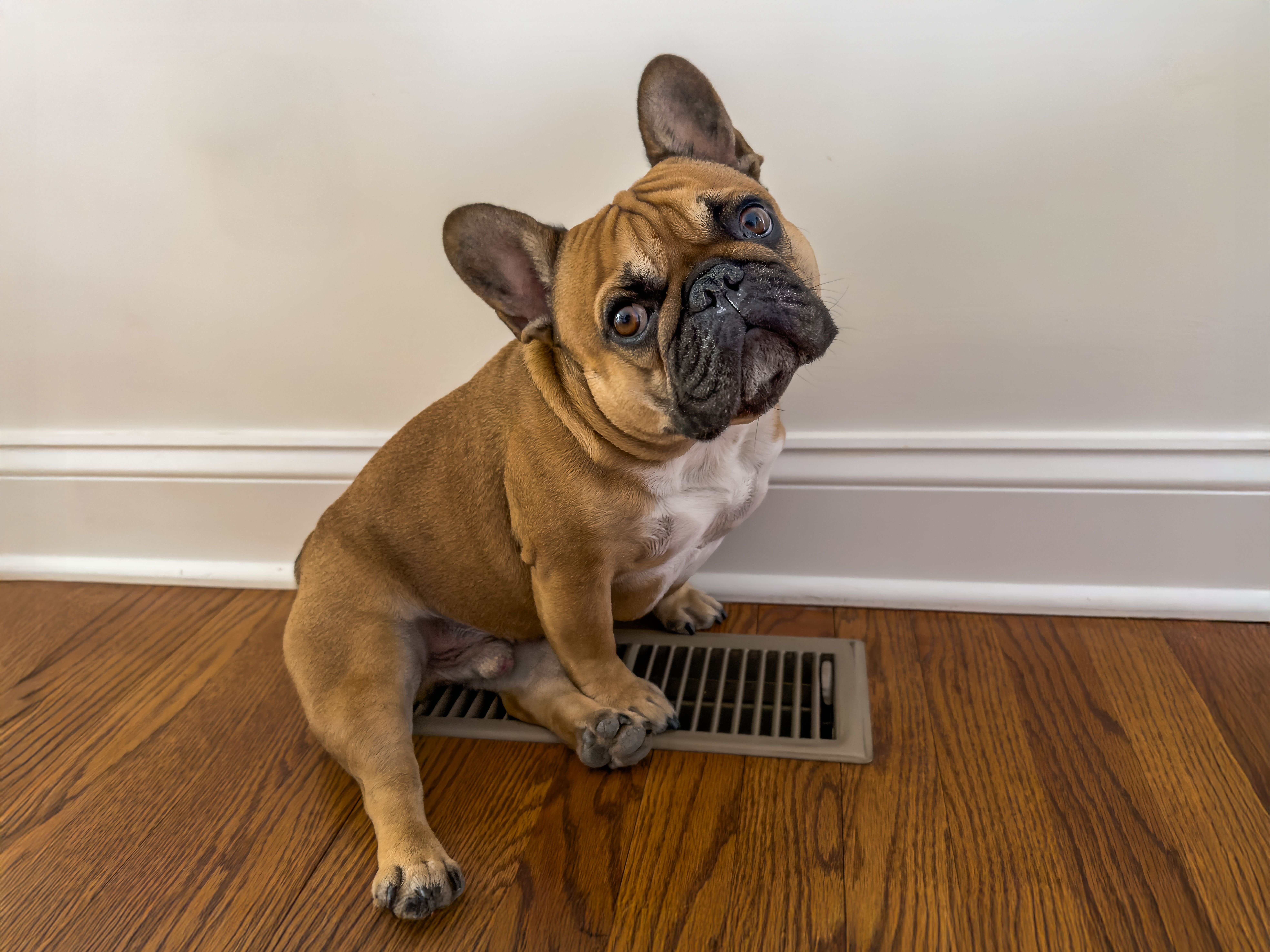 Your flooring material naturally feels colder