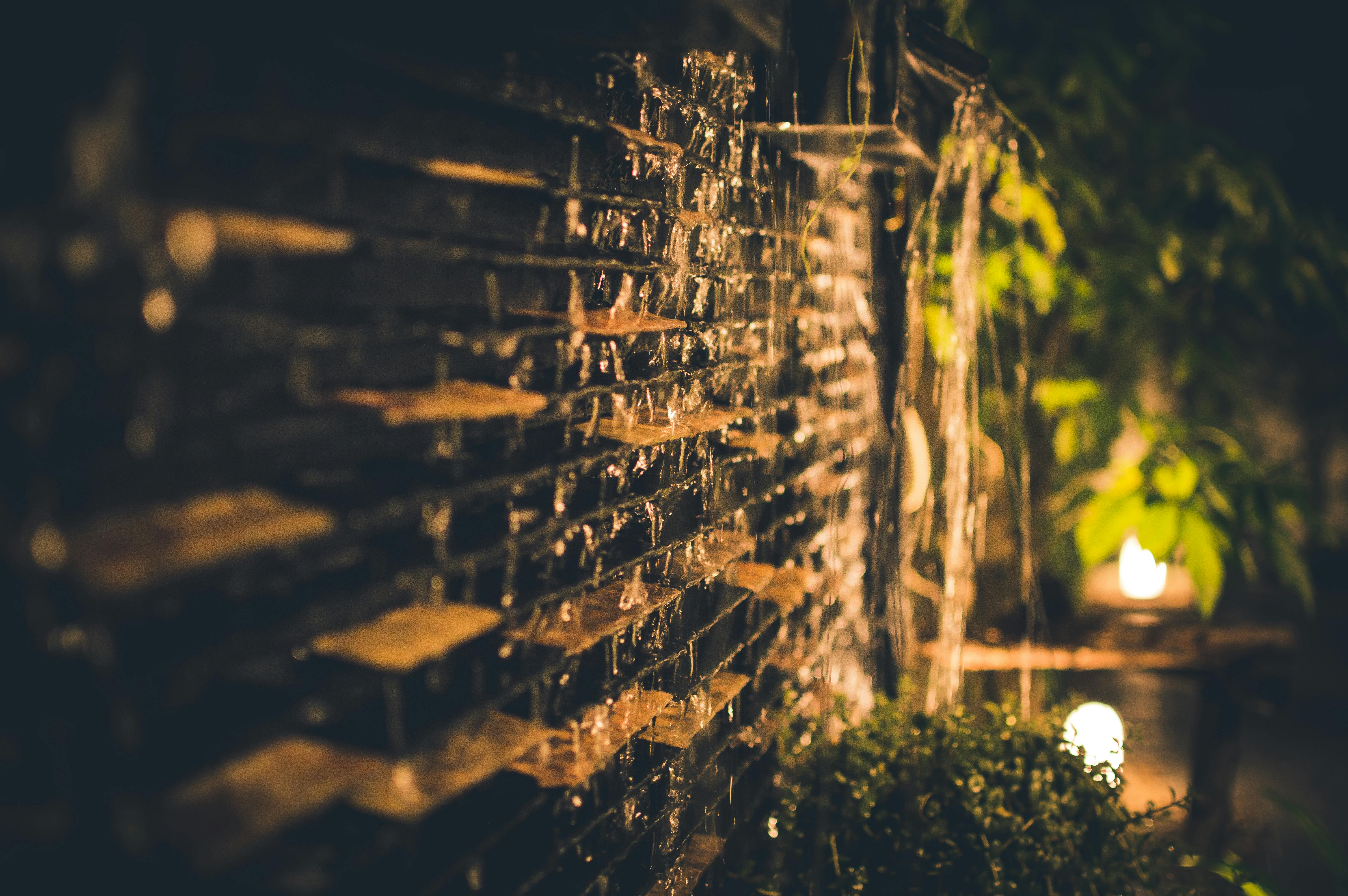 accent-lighting-backyard-serviceseeking-jpg