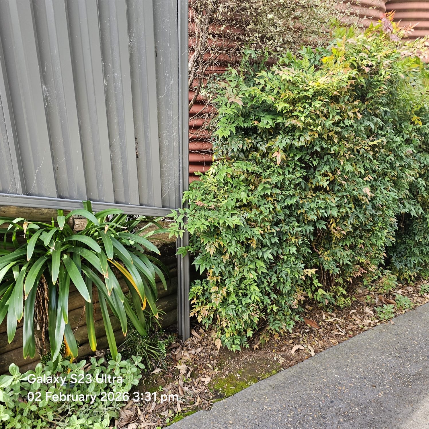 f8cc734a-801e-462a-bb77-c9294a5c9877 - Ramya Abeywardene