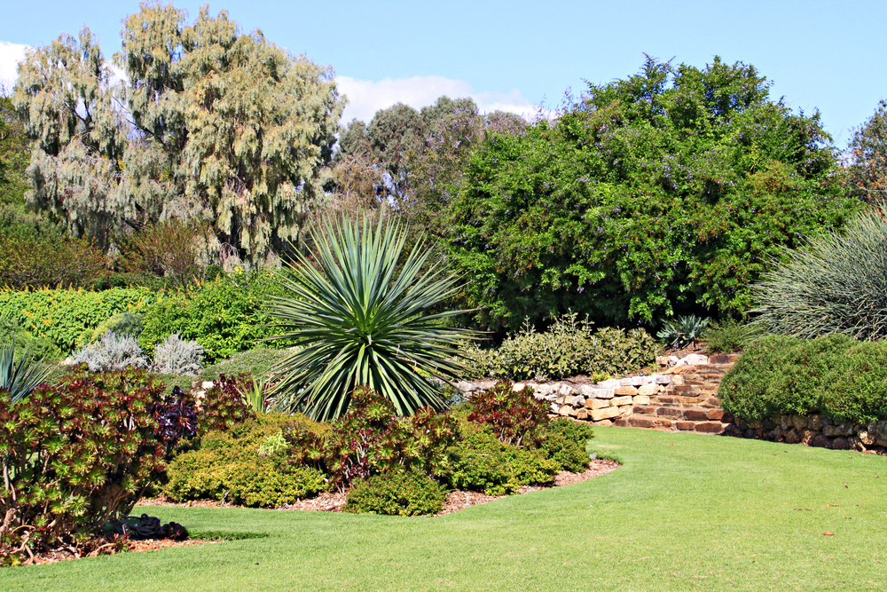 garden-in-australia