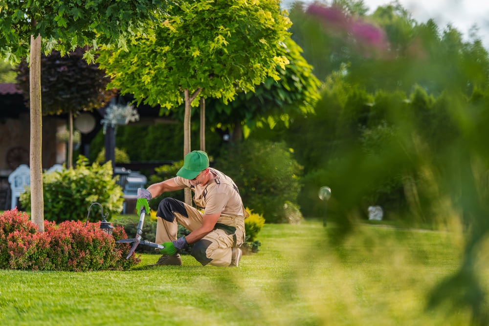 garden-landscaping-serviceseeking-jpg