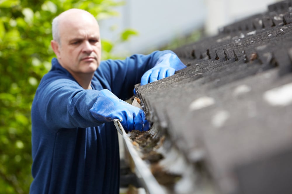 gutter-cleaning-serviceseeking