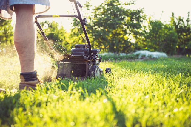 lawnmower-lawnmowing-serviceseeking