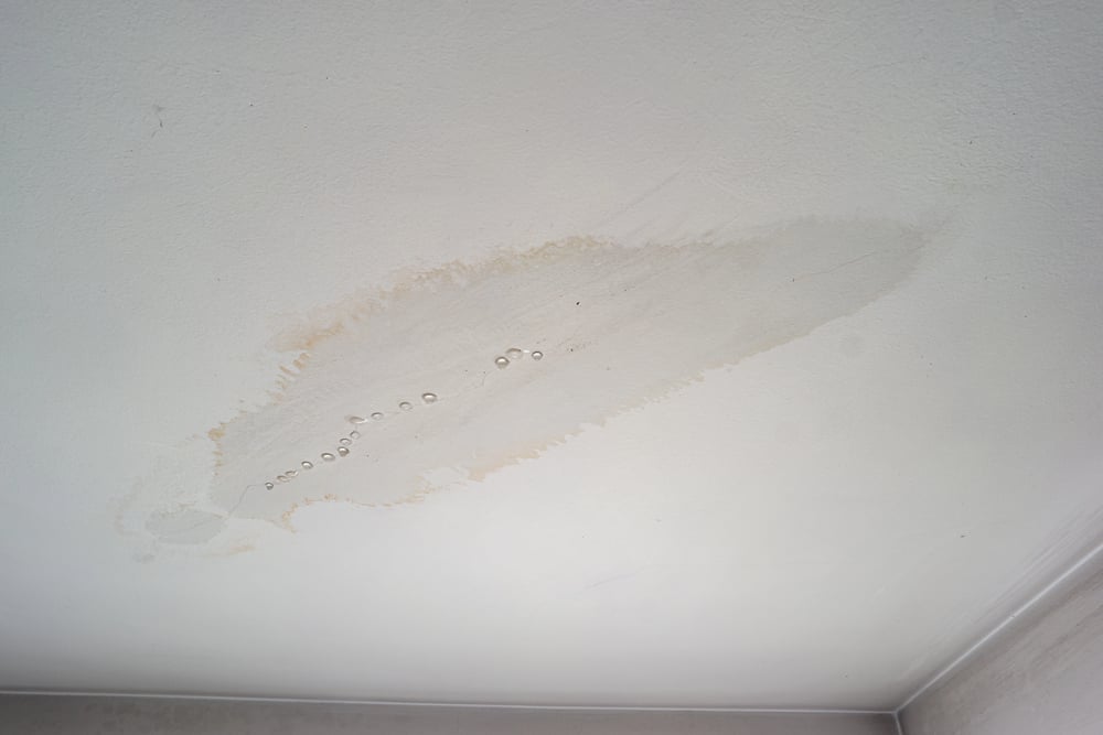 leaky-roof-damp-ceiling-serviceseeking
