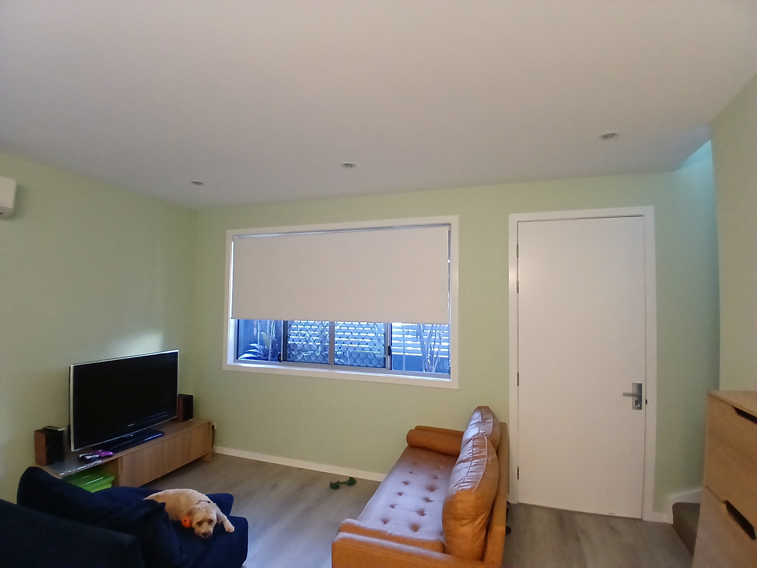 Interior Painting Success Story in Windsor QLD