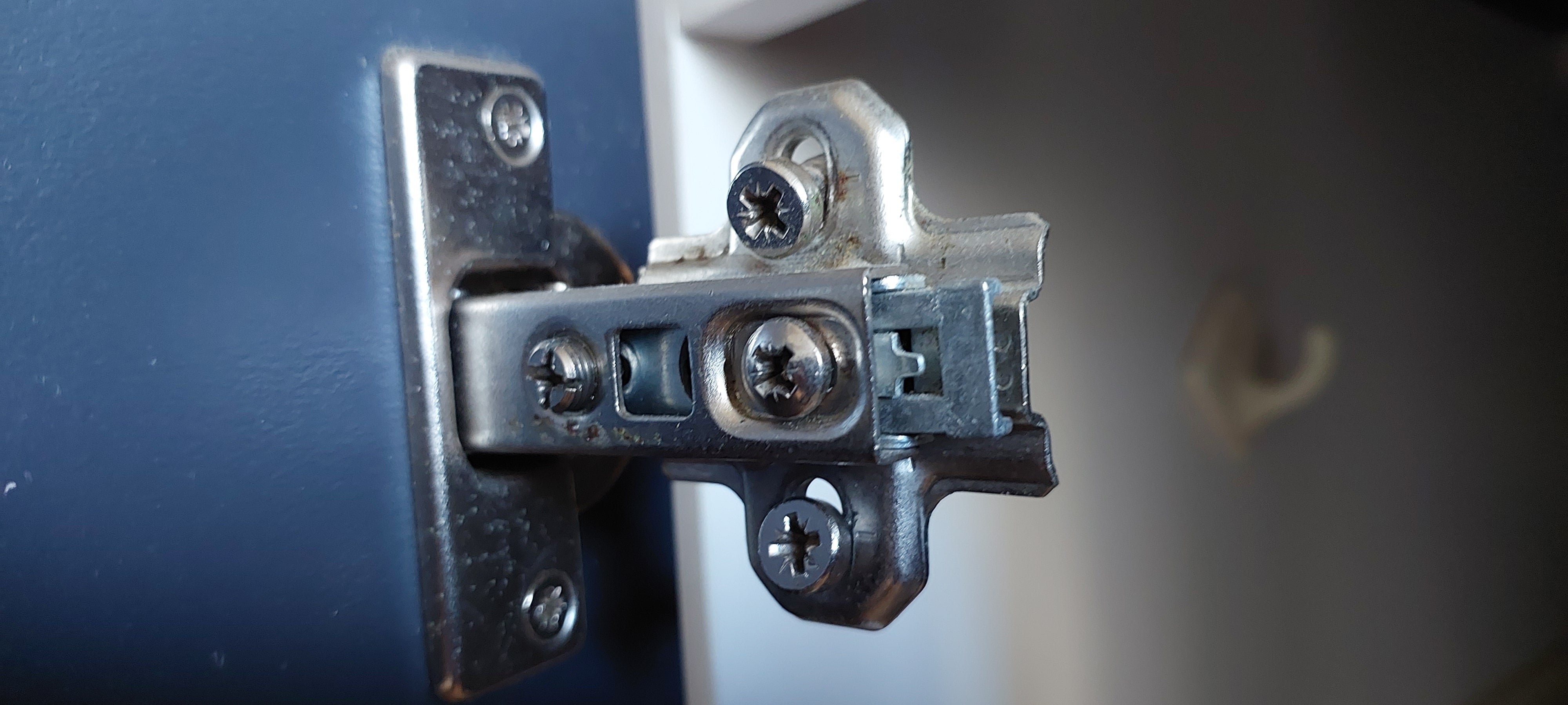 How a Loose Cupboard Hinge Led Sunny to Her Go-To Tradie