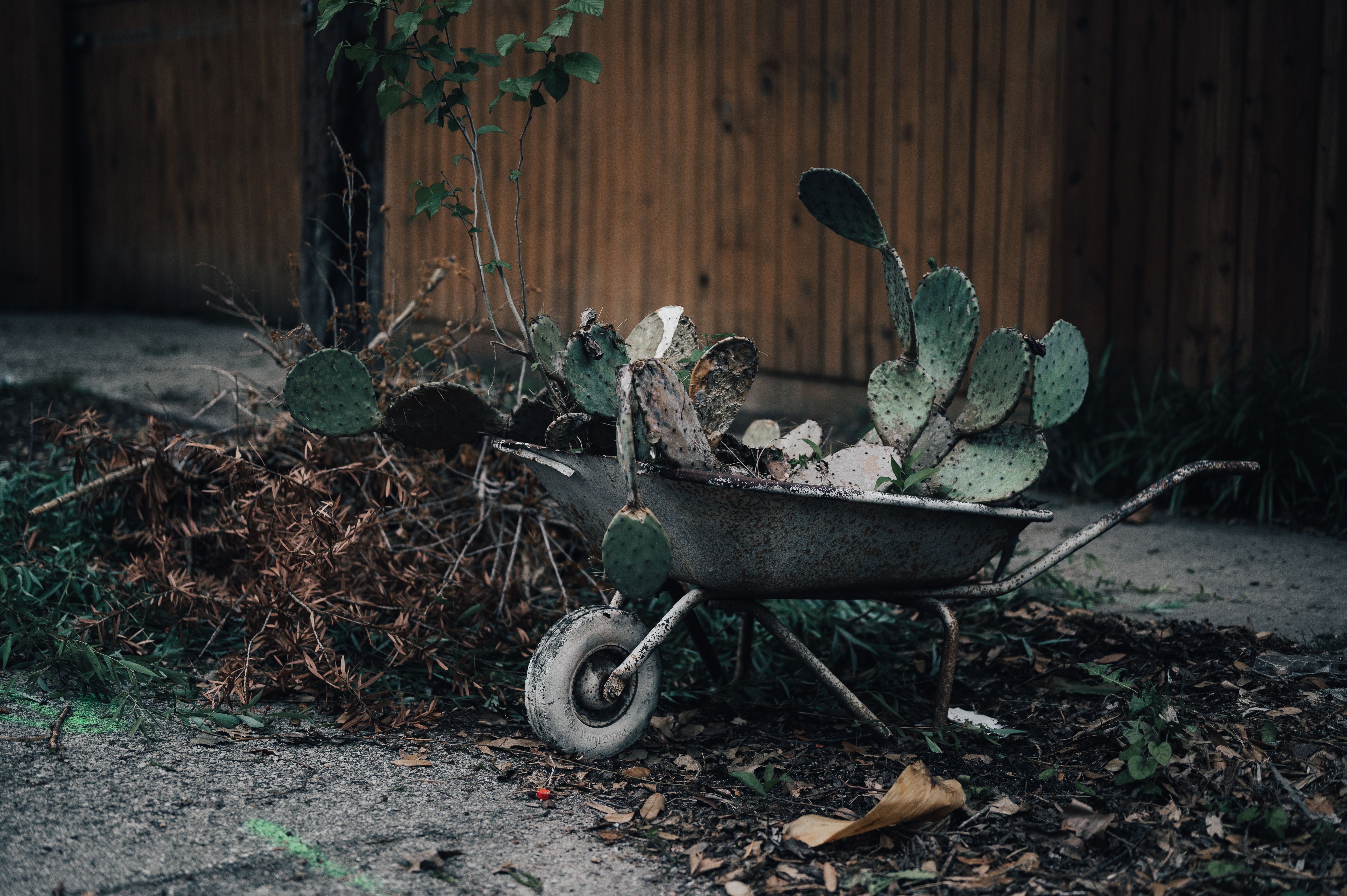 Average Garden Clean-Up Costs for 2026