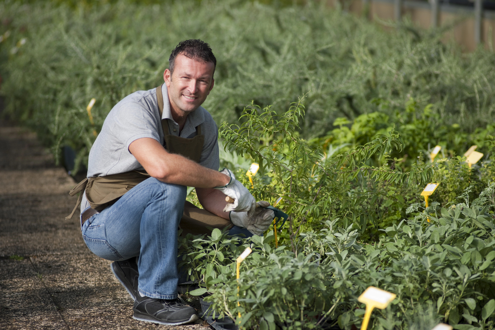 Average Gardener Prices in 2026