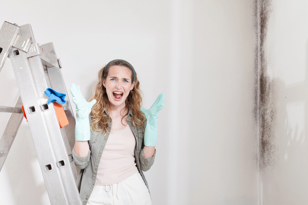 Avoiding Mid-Project Stress When Hiring Tradies