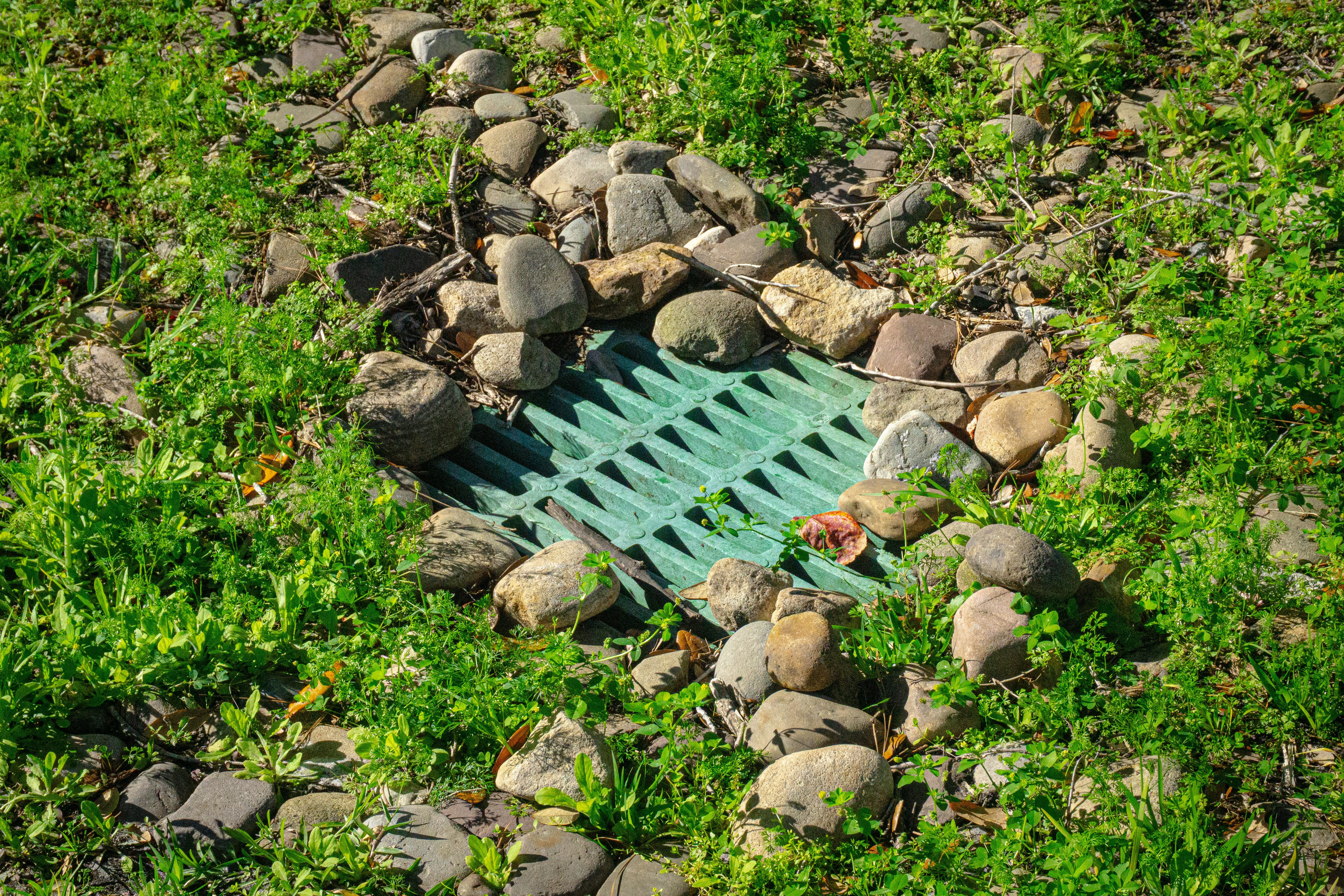 Blocked Stormwater Drains in Autumn