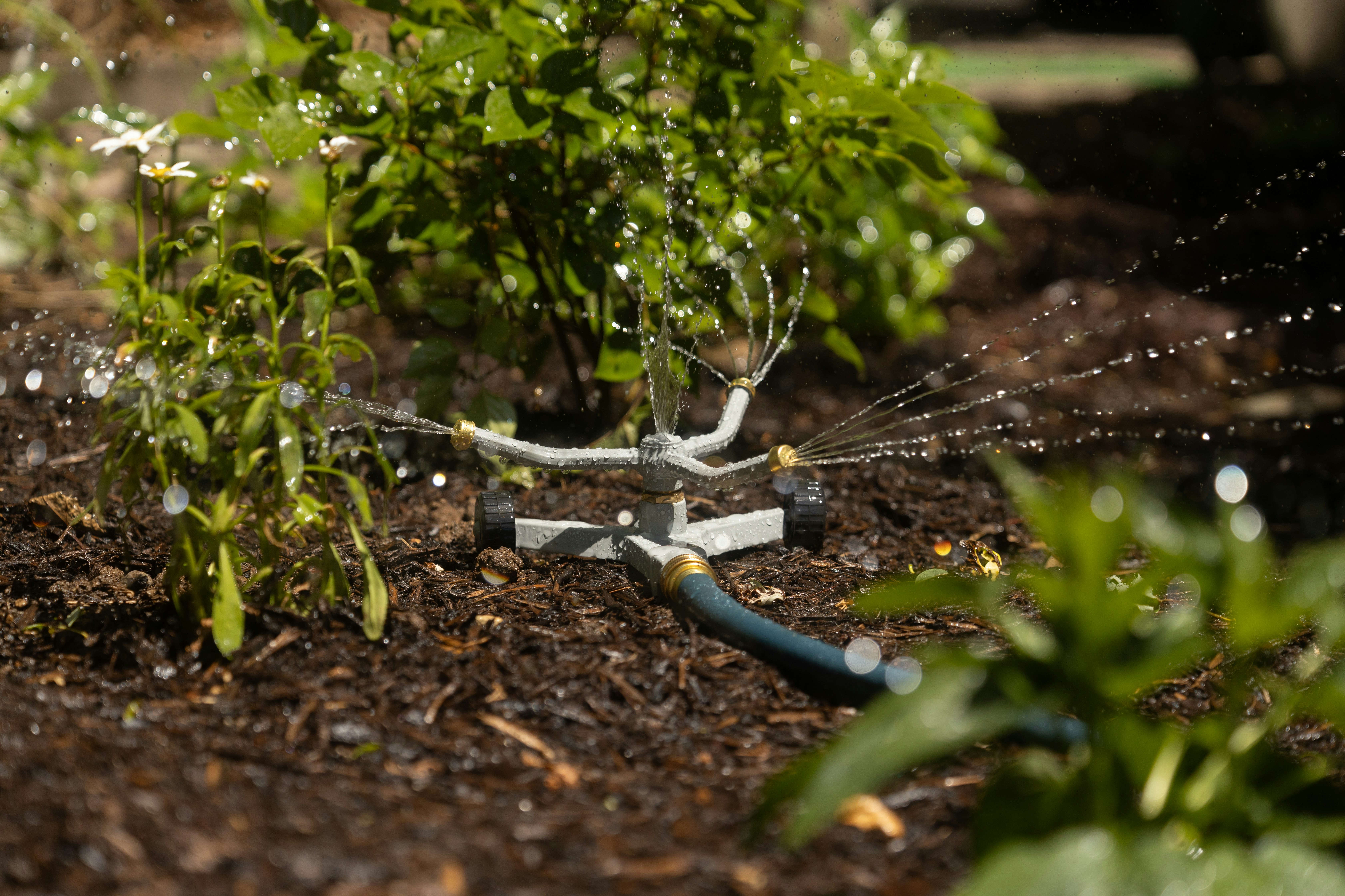 Do You Need a Garden Irrigation System