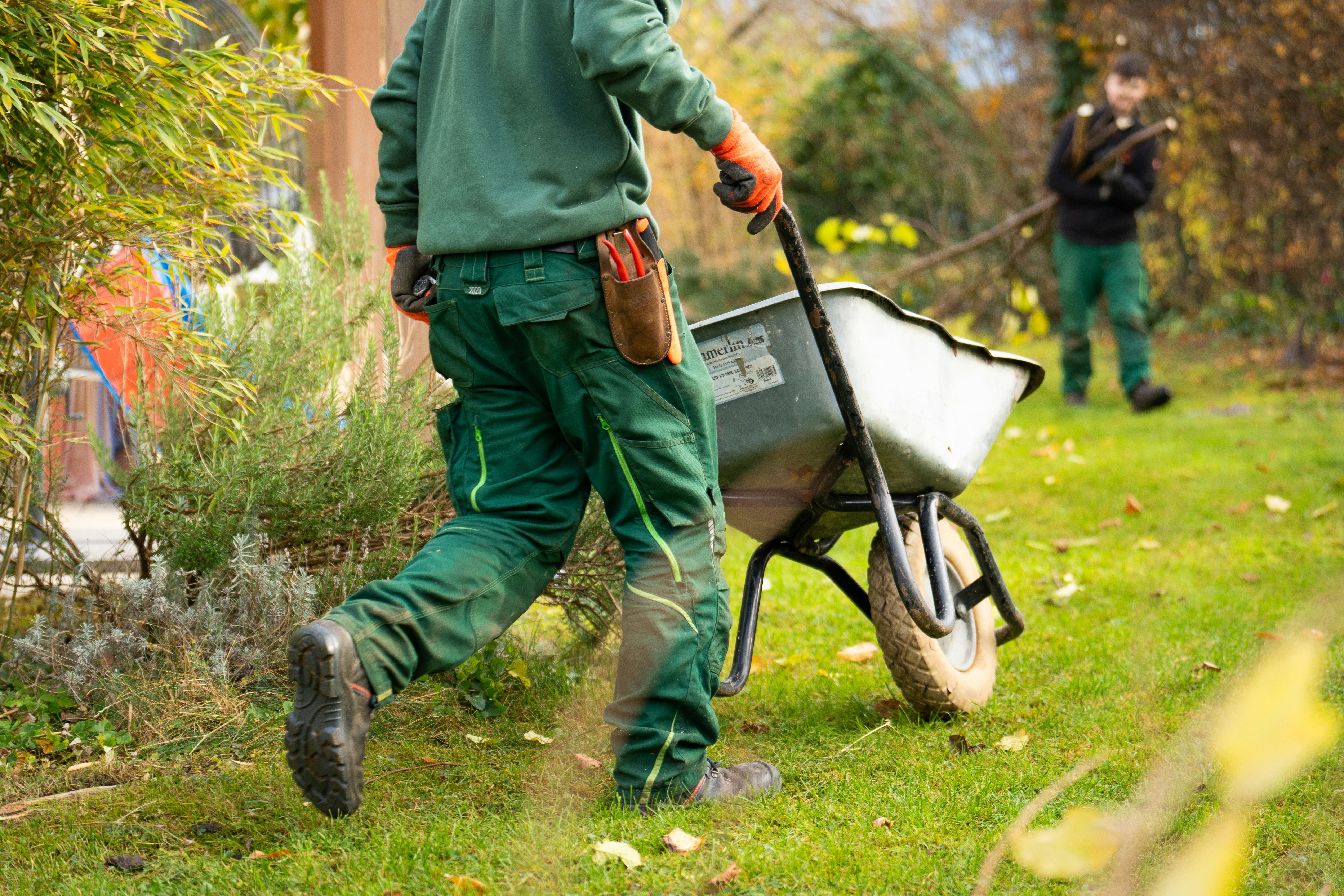 Finding a Landscaping Team That Could Work to Budget