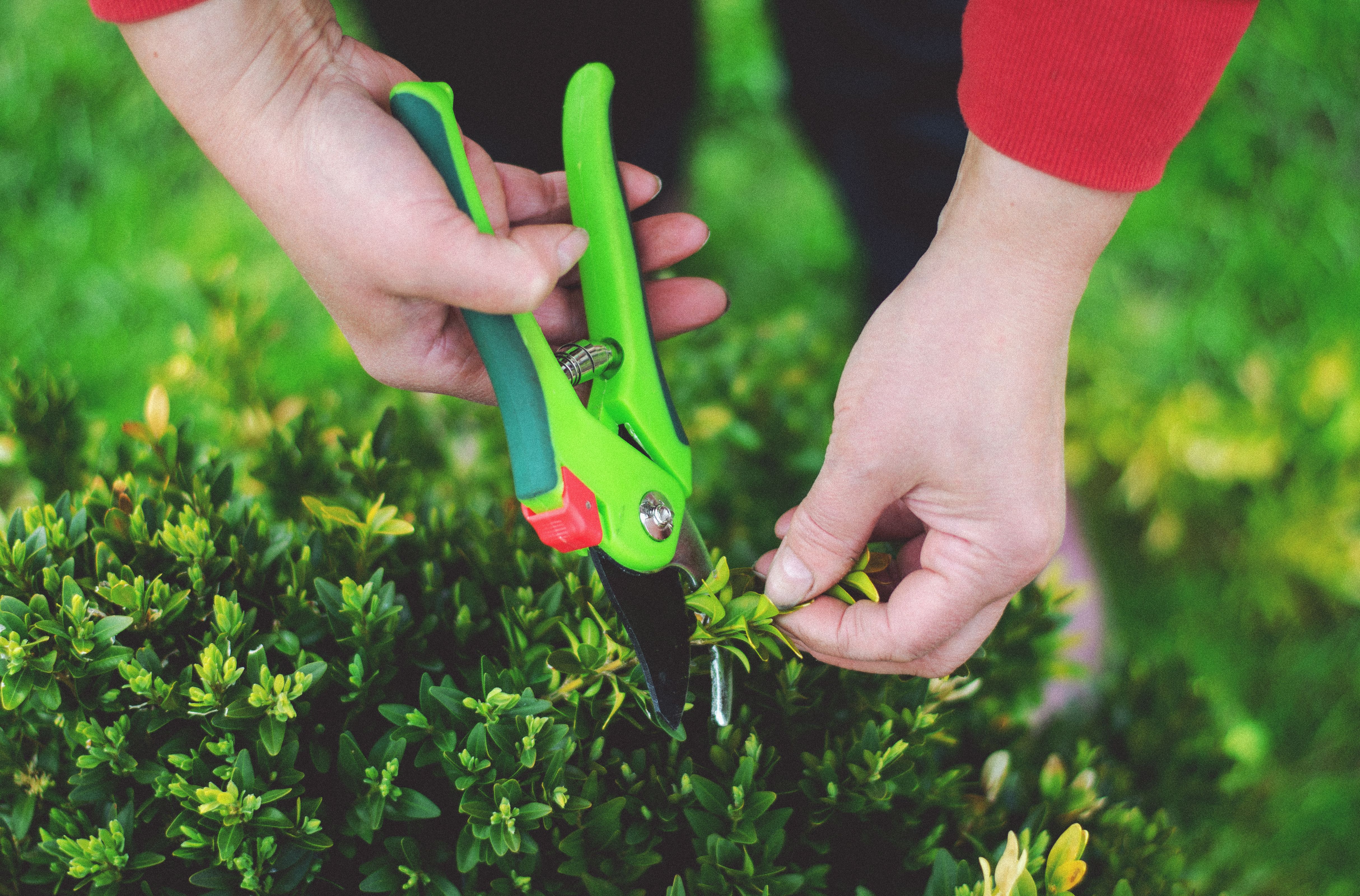 Garden Maintenance Costs