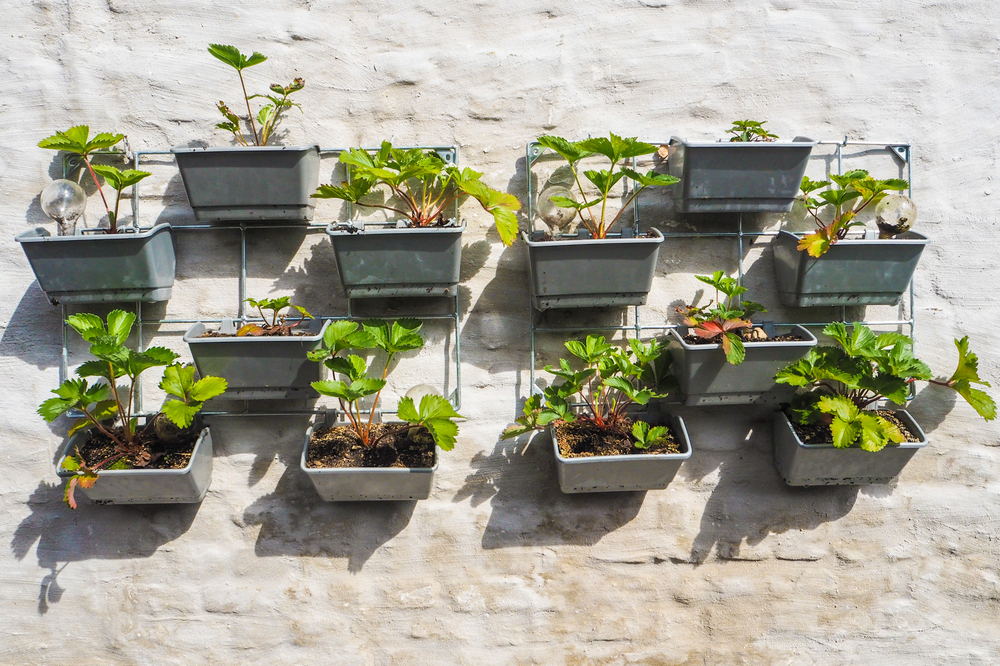 How Vertical Garden Installers Are Transforming Urban Spaces