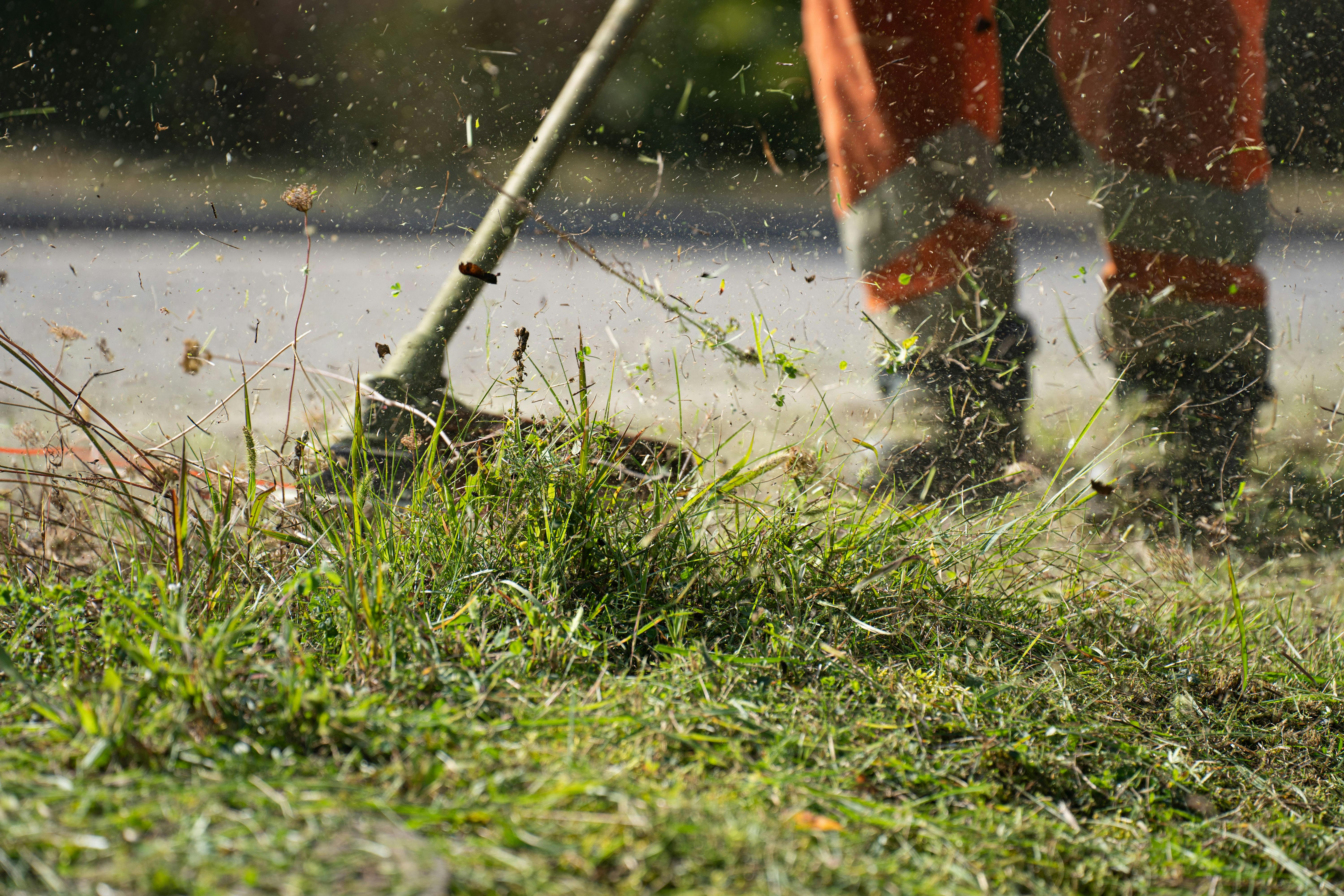 Lawn Mowing & Garden Cleanup in Ambarvale, NSW
