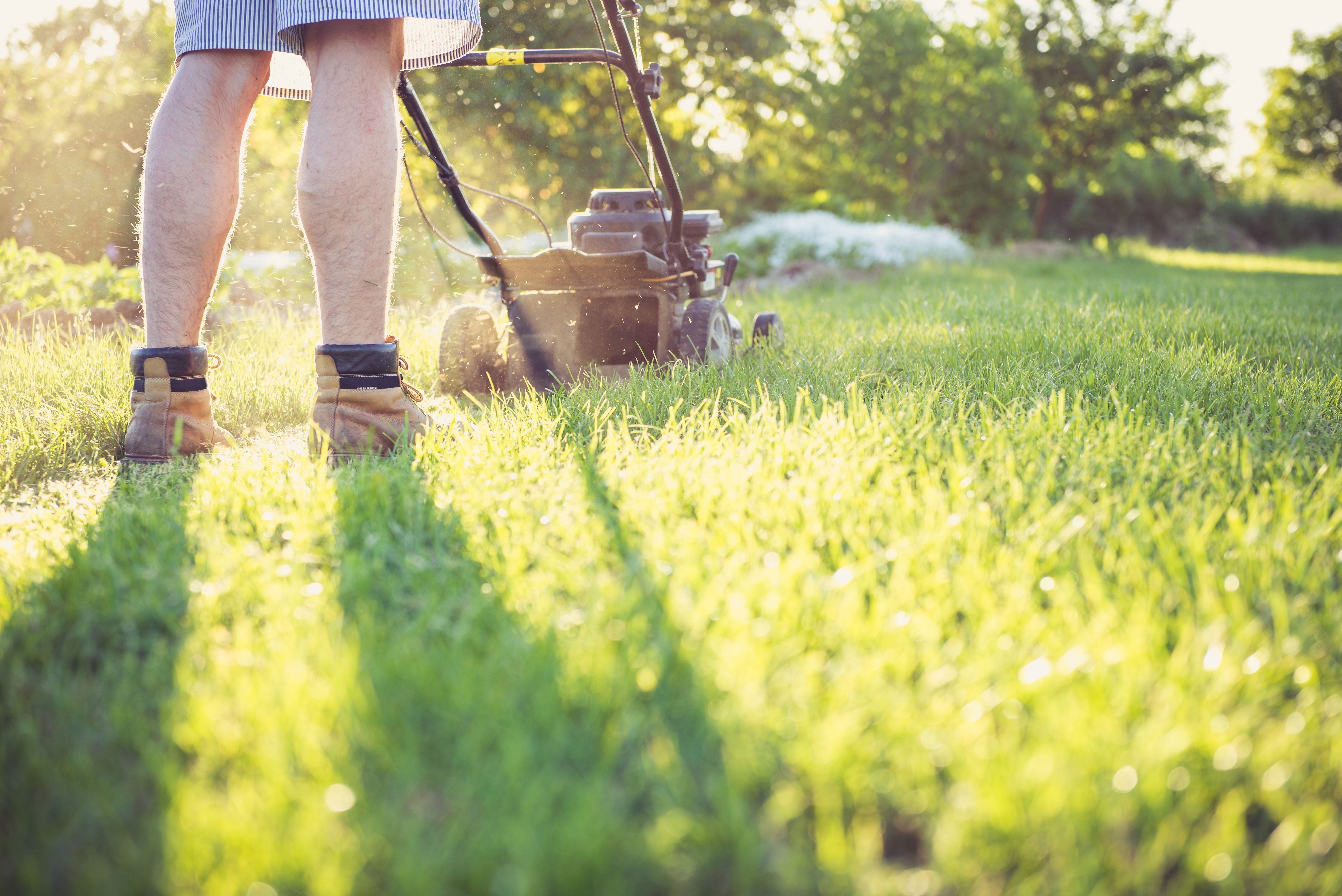 Lawn Mowing Prices in Australia 2026