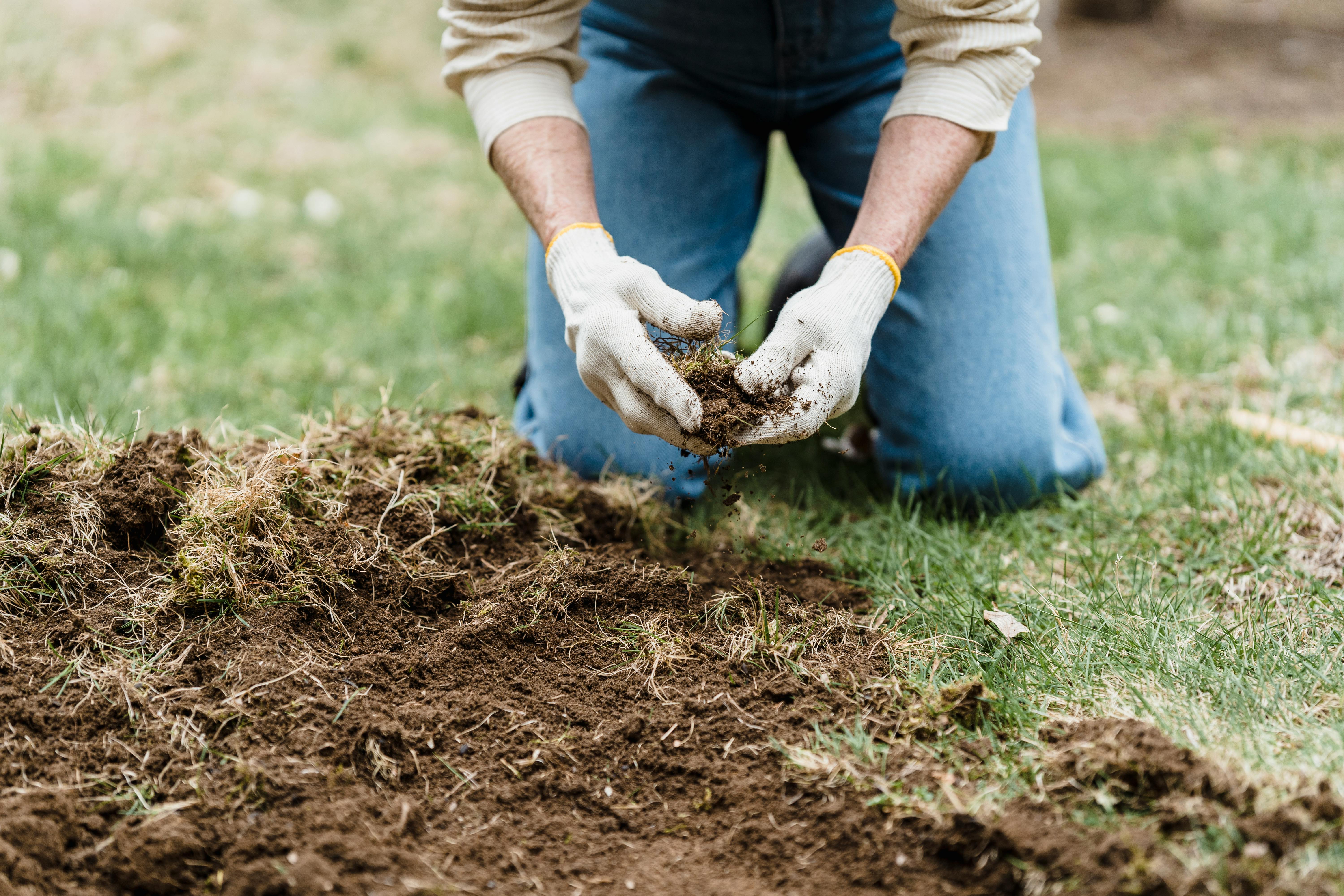 The Importance of Soil Health: Tips for Fertilising Tradies